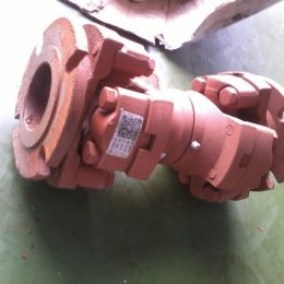 Trục các đăng