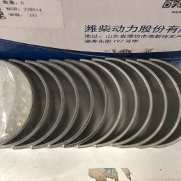 Bạc Trục Cơ Động Cơ Xúc Lật ZL50C