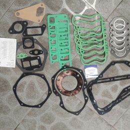 Gioăng tổng thành động cơ Wechai WD10