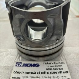 Piston động cơ WP6