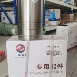 Xi Lanh Động Cơ Shanghai Xe Xúc Lật LW500F